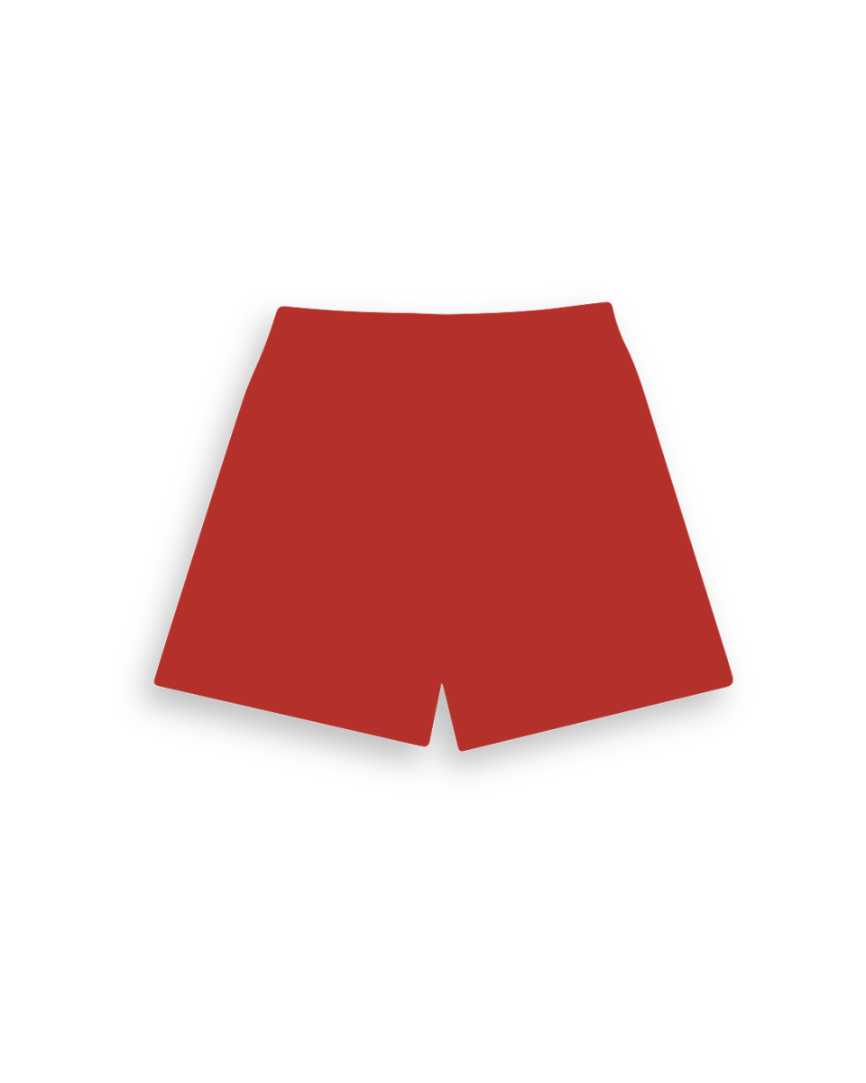 Big RL Mesh Shorts - Image 6