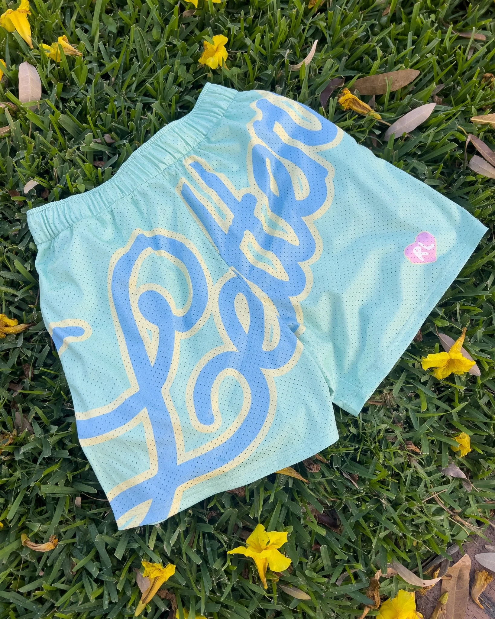 Letters Mesh Shorts - Easter - Image 8